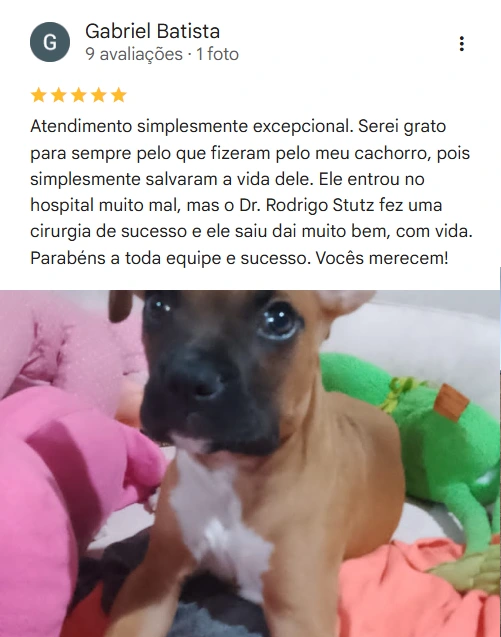 Avaliação 5 estrelas