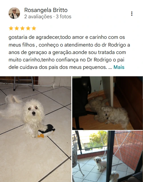 Avaliação 5 estrelas