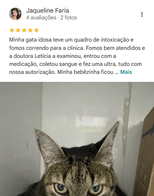 Avaliação 5 estrelas